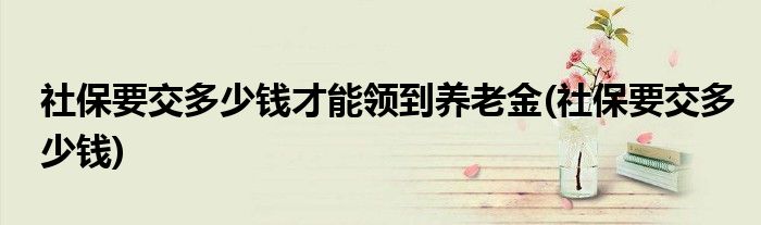 社保要交多少钱才能领到养老金(社保要交多少钱)