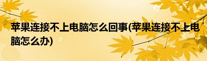 苹果连接不上电脑怎么回事(苹果连接不上电脑怎么办)