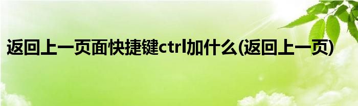 返回上一页面快捷键ctrl加什么(返回上一页)