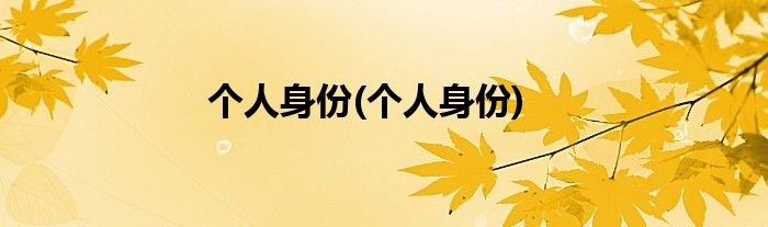 个人身份(个人身份)