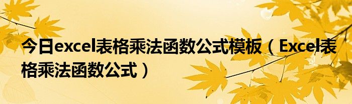 今日excel表格乘法函数公式模板（Excel表格乘法函数公式）