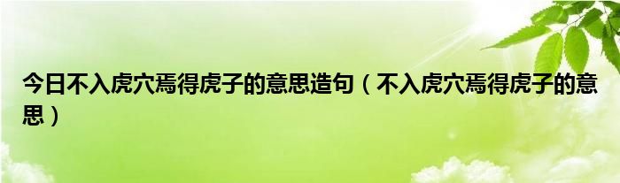 今日不入虎穴焉得虎子的意思造句（不入虎穴焉得虎子的意思）
