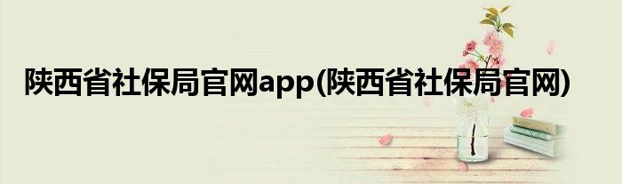 陕西省社保局官网app(陕西省社保局官网)