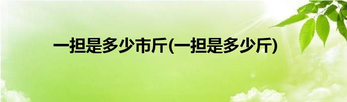一担是多少市斤(一担是多少斤)
