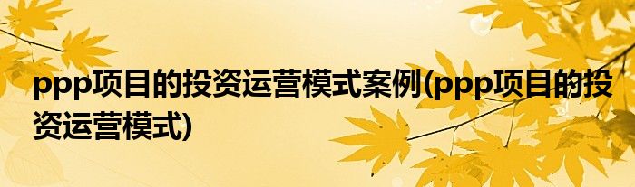 ppp项目的投资运营模式案例(ppp项目的投资运营模式)