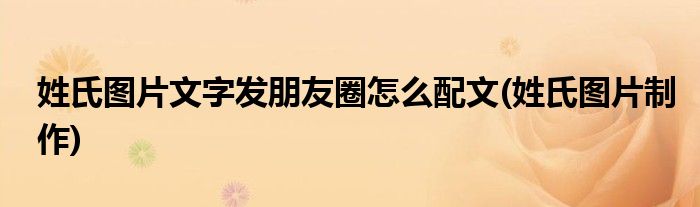 姓氏图片文字发朋友圈怎么配文(姓氏图片制作)
