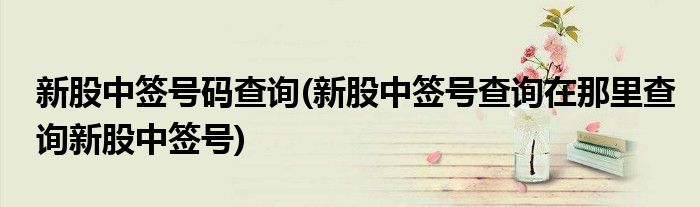 新股中签号码查询(新股中签号查询在那里查询新股中签号)
