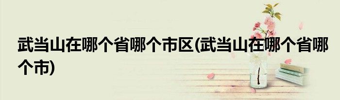 武当山在哪个省哪个市区(武当山在哪个省哪个市)