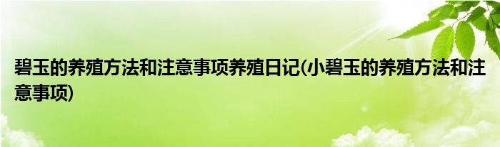 碧玉的养殖方法和注意事项养殖日记(小碧玉的养殖方法和注意事项)