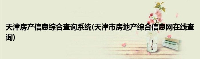 天津房产信息综合查询系统(天津市房地产综合信息网在线查询)