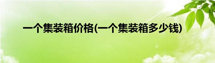一个集装箱价格(一个集装箱多少钱)