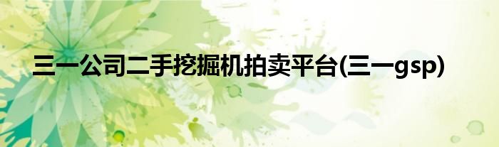 三一公司二手挖掘机拍卖平台(三一gsp)