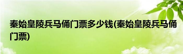 秦始皇陵兵马俑门票多少钱(秦始皇陵兵马俑门票)
