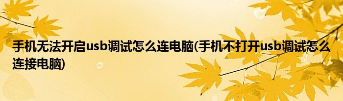 手机无法开启usb调试怎么连电脑(手机不打开usb调试怎么连接电脑)