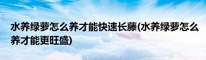 水养绿萝怎么养才能快速长藤(水养绿萝怎么养才能更旺盛)
