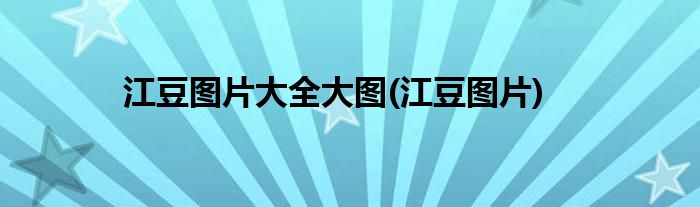 江豆图片大全大图(江豆图片)