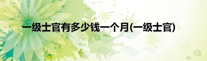 一级士官有多少钱一个月(一级士官)