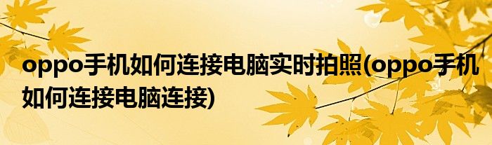 oppo手机如何连接电脑实时拍照(oppo手机如何连接电脑连接)