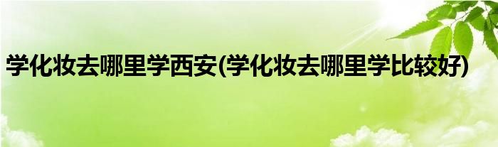 学化妆去哪里学西安(学化妆去哪里学比较好)