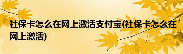 社保卡怎么在网上激活支付宝(社保卡怎么在网上激活)