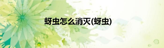 蚜虫怎么消灭(蚜虫)