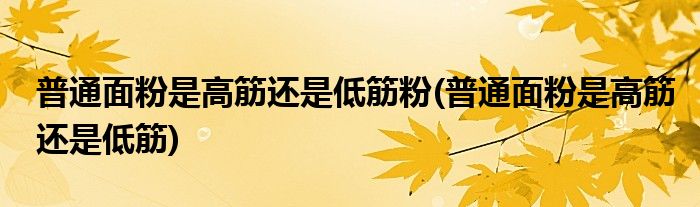 普通面粉是高筋还是低筋粉(普通面粉是高筋还是低筋)
