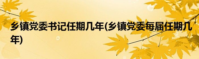 乡镇党委书记任期几年(乡镇党委每届任期几年)