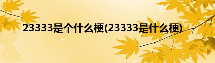 23333是个什么梗(23333是什么梗)