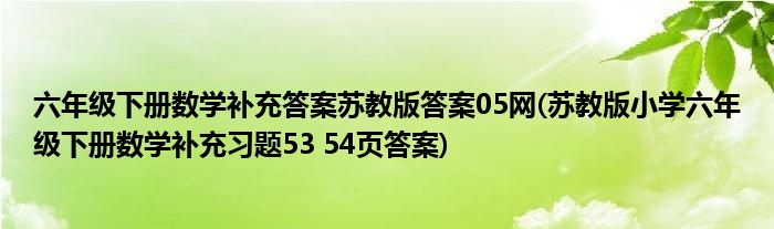 六年级下册数学补充答案苏教版答案05网(苏教版小学六年级下册数学补充习题53 54页答案)