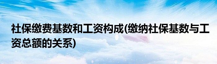 社保缴费基数和工资构成(缴纳社保基数与工资总额的关系)