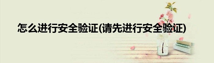 怎么进行安全验证(请先进行安全验证)