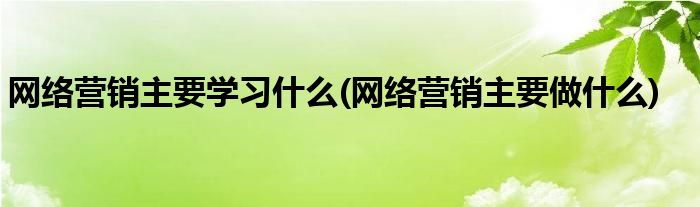 网络营销主要学习什么(网络营销主要做什么)