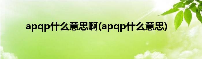 apqp什么意思啊(apqp什么意思)