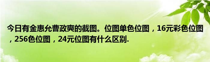 今日有金惠允曹政奭的截图。位图单色位图，16元彩色位图，256色位图，24元位图有什么区别.