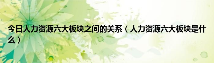 今日人力资源六大板块之间的关系（人力资源六大板块是什么）