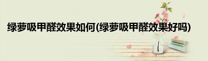 绿萝吸甲醛效果如何(绿萝吸甲醛效果好吗)