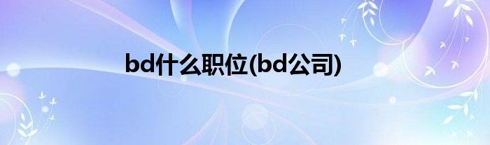 bd什么职位(bd公司)