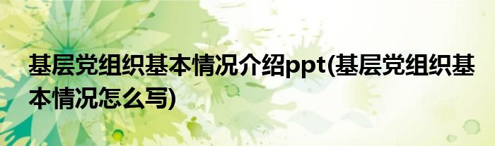 基层党组织基本情况介绍ppt(基层党组织基本情况怎么写)