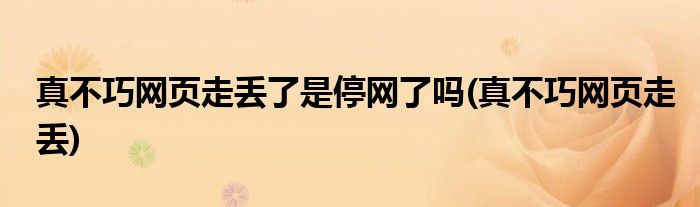 真不巧网页走丢了是停网了吗(真不巧网页走丢)
