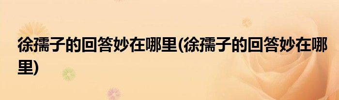 徐孺子的回答妙在哪里(徐孺子的回答妙在哪里)