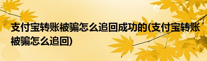 支付宝转账被骗怎么追回成功的(支付宝转账被骗怎么追回)