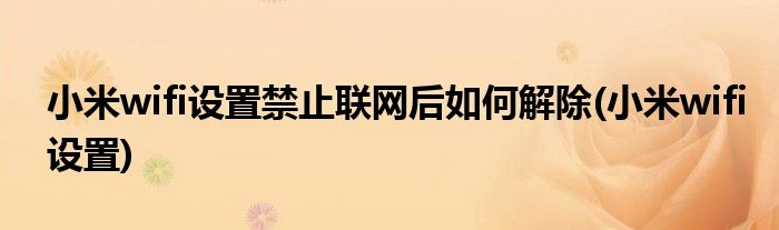 小米wifi设置禁止联网后如何解除(小米wifi设置)