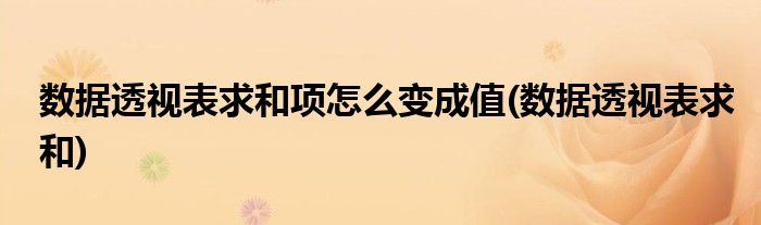 数据透视表求和项怎么变成值(数据透视表求和)