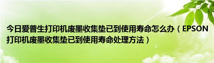 今日爱普生打印机废墨收集垫已到使用寿命怎么办（EPSON打印机废墨收集垫已到使用寿命处理方法）