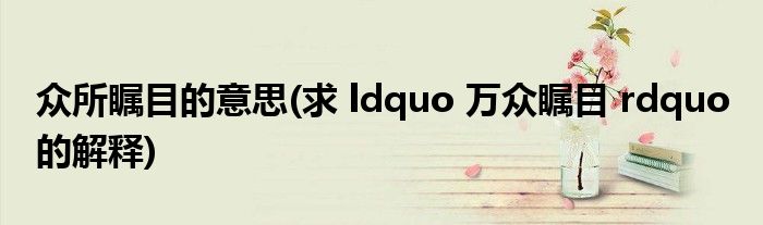 众所瞩目的意思(求 ldquo 万众瞩目 rdquo 的解释)