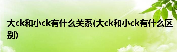 大ck和小ck有什么关系(大ck和小ck有什么区别)