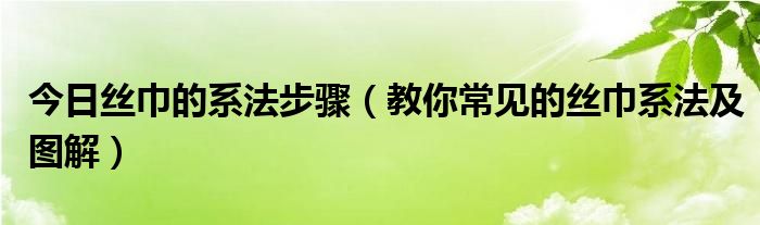 今日丝巾的系法步骤（教你常见的丝巾系法及图解）