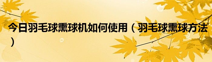 今日羽毛球熏球机如何使用（羽毛球熏球方法）