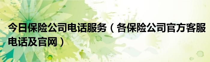 今日保险公司电话服务（各保险公司官方客服电话及官网）