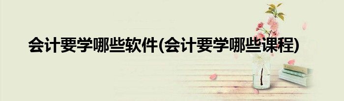 会计要学哪些软件(会计要学哪些课程)